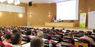 La cosecha nacional de vino y mosto rondará los 36 millones de hectolitros