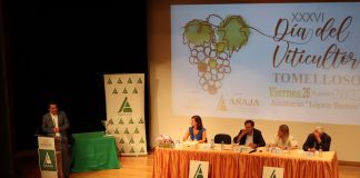 El Gobierno de Castilla-La Mancha reivindica una vendimia rentable para todos, en línea con los precios “históricos” de los productos hortícolas