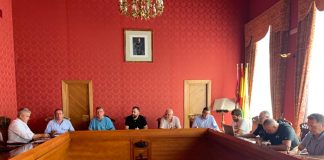 Importante caída de precios en origen de la sandía