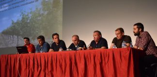 Trabajan en probar la suelta de conejos híbridos en Castilla-La Mancha por parte de la administración regional