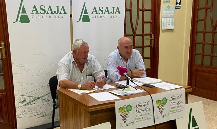 WhatsApp Image 2022-08-23 at 12.04.07 PM 1