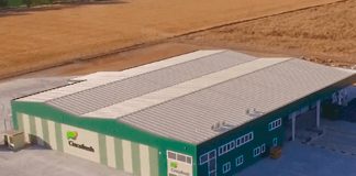 Una conocida empresa hortofrutícola de La Mancha da el salto a la producción, procesado y comercialización de pistacho