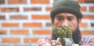 Como empezar en el negocio del cannabis y grow shop cannabis