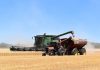 Estima en seis millones las pérdidas por la paralización de la siega los días de calor extremo cosechadora
