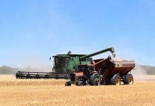 Estima en seis millones las pérdidas por la paralización de la siega los días de calor extremo cosechadora