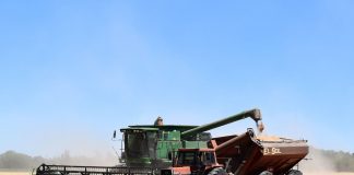 Alerta que la mayoría de autónomos agrarios verán recortadas sus prestaciones con el nuevo sistema de cotización cosechadora