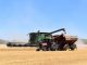 Estima en seis millones las pérdidas por la paralización de la siega los días de calor extremo cosechadora