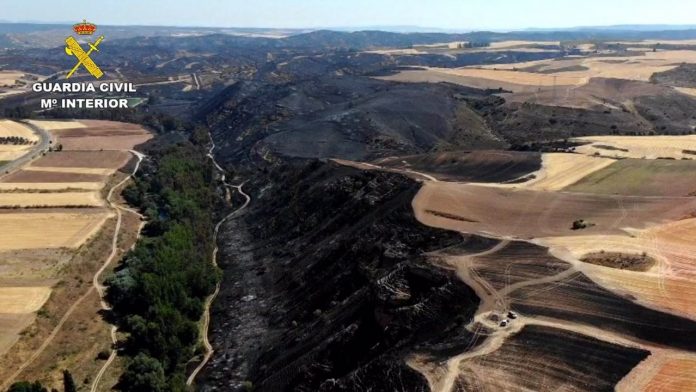 incendio cosechadora