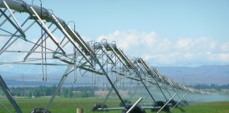 Confederación Hidrográfica del Guadiana propone mantener restricciones de regadío en Campo de Calatrava REGADÍO AGUA