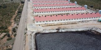 La moratoria que nunca existió (…o cómo saltarse una ley). Antonio Jorge. Antonio Jorge. ACEM-Ecologistas de La Manchuela y Asociación Pueblos Vivos Cuenca macrogranja