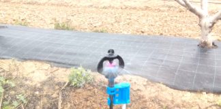 Responden al Gobierno que “no sobra regadío sino políticos que no solucionan los problemas”