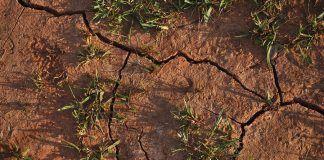 La mesa de la sequía se reunirá el 5 de septiembre para evaluar la situación actual en el sector agrario