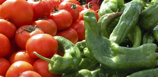 tomates y pimientos
