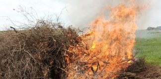 La nueva Ley de Residuos para una Economía Circular no permite quemar los restos vegetales en el entorno agrario Quema de residuos