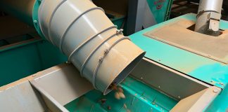 El precio en origen de la almendra ecológica sigue hundiéndose