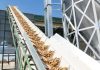 Primeros precios de la nueva campaña de almendra de Castilla-La Mancha almendras