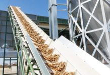 Primeros precios de la nueva campaña de almendra de Castilla-La Mancha almendras