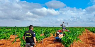 Denuncia la “persecución” de los inspectores de trabajo a los agricultores y pide que se revise el PER agrario Inspecciones de trabajo