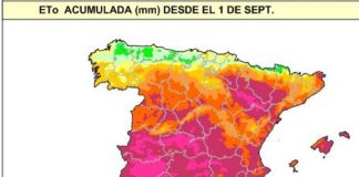 La importancia de la evapotranspiración en la agricultura