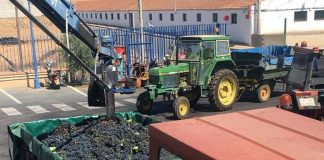 El presidente de una histórica bodega manchega confía en un repunte de los precios del vino vendimia