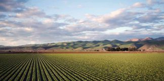 Madrid acogerá el Congreso Ibérico de Fincas Rústicas