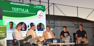 El olivar de montaña necesita medidas específicas para garantizar su futuro