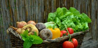 La superficie agraria ecológica se incrementó un 8 por ciento y superó los 2,6 millones de hectáreas en 2021 hortalizas