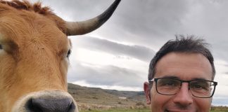 Una nueva PAC que prima los sobres autonómicos y da la espalda a los ganaderos profesionales de vacuno. Joaquín Gargallo. COAG