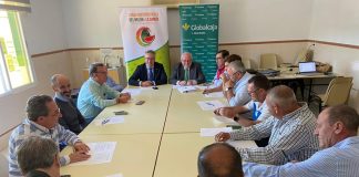 ¿A cuánto se ha pagado de media esta campaña el melón y la sandía de Castilla-La Mancha?