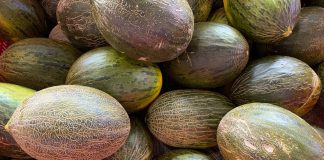 Siguen bajando los precios en origen de melón y sandía melones