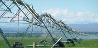 Inteligencia artificial para prever el agua de riego a siete días vista riego