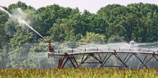 El MITECO, condenado a desarrollar el contrato eléctrico de doble tarifa en seis meses