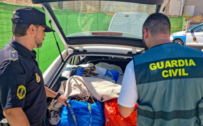 robo algarroba robo algarroba