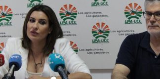 Reclama que la recuperación del vino se traduzca en precios justos de la uva para esta vendimia UPA