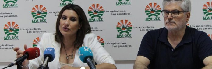 upa precios vino UPA