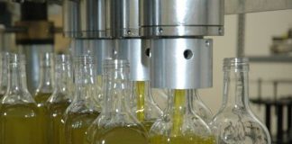 La producción final de aceite de oliva rondará las 1.300.000 toneladas aceite de oliva