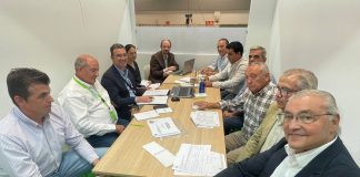 Prevé un descenso importante de las siembras de ajo debido al aumento de los costes de producción y la sequía