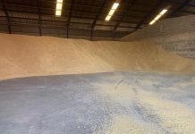 ¿Qué hechos pueden darle la vuelta a la tendencia bajista del mercado de cereales? almacén grano