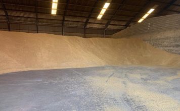 ¿Qué hechos pueden darle la vuelta a la tendencia bajista del mercado de cereales? almacén grano