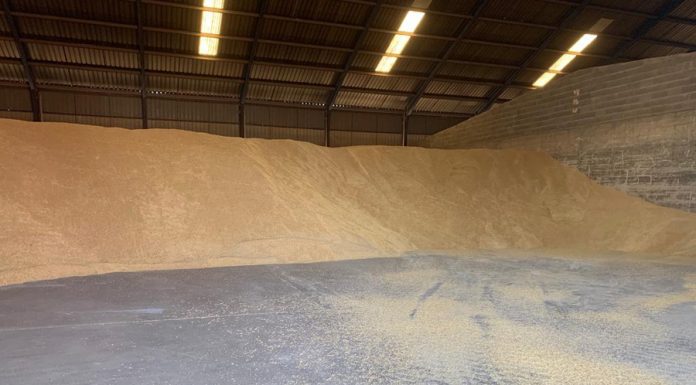 Los precios de los cereales se sostienen, pero el mercado sigue parado cereales