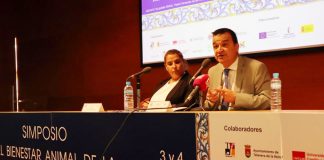 Castilla-La Mancha destinará 16 millones para que el sector sustituya las gallinas en jaula por gallinas camperas o en suelo