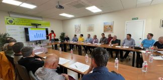 Prevé una cosecha de aceituna en Castilla-La Mancha un 25 por ciento inferior a la de la campaña anterior cooperativas