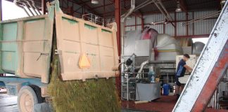 El alcalde de una importante localidad vitivinícola toledana pide ayudas urgentes para el sector descarga uva