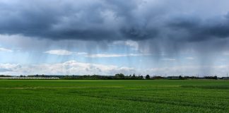 Auditores de la UE echan en falta mayor ambición ecológica en planes nacionales de la PAC tormenta lluvia