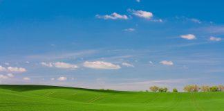La compra de tierras por jóvenes agricultores, principal destino de la línea de inversión y circulante de SAECA campo
