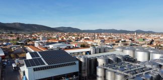 ¿Qué gran cooperativa manchega tiene todo su vino y mosto contratado? El Progreso