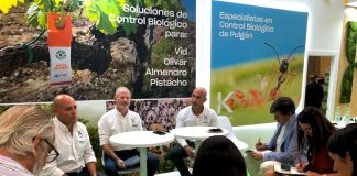 Koppert se consolida como el referente del control biológico en los cultivos al aire libre KOPPERT