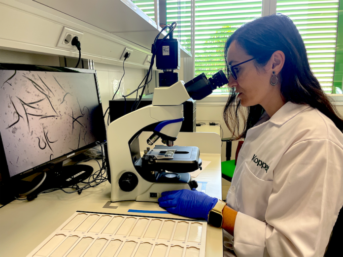 koppert-laboratorio-nematodos