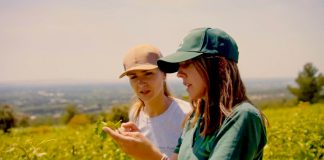 Cultivos al aire libre: el valor añadido de los ayudantes de la Naturaleza