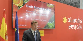 El ministro de Agricultura pide “no especular con el aceite de oliva ante la corta cosecha”